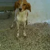 Marta_Antonelli - @marta_antonelli - TikTok