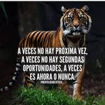 Marta Avalos - @marta.avalos.167 - Instagram