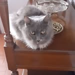 Marta Barth - @marta.barth.71 - Instagram