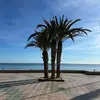 Marta Rabell - @martarabell - TikTok