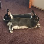 Marta Bukowska - @rabb.its32 - Instagram