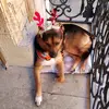 Marta Campa - @marta.campa4 - TikTok