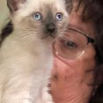Marta Cantrell - @m60cantrell - Instagram