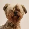 martacappa777 - @martacappa777 - TikTok