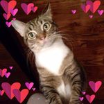 Marta Cisneros - @macash1420 - Instagram
