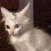 user2968812539137 - @martacollins23 - TikTok