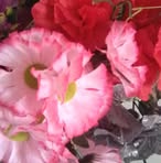 Marta Crespo - Facebook