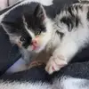 martadarkevica653 - @martadarkevica653 - TikTok