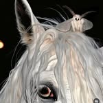 MBV - @martadarkspirit - Instagram