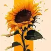 Marta 🌻 - @martaesparza121 - TikTok