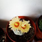 marta fleming - @martaflemingp - Instagram