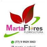 Floricultura Marta flores - @martaflores_lem - Instagram