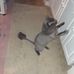 Marta Floyd Story - Facebook