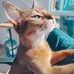 Marta Goodwin - Facebook