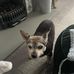 Martha Hammond - Facebook