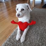 Marta Hull - @martahull8 - Instagram