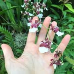 Marta King - @martaking587 - Instagram