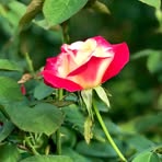 Marta Lee - Facebook
