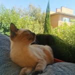 Huellas imborrables - @marta.littlepets - Instagram