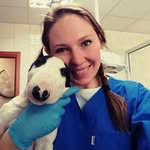 Marta Mazur - @marta_k9_vet.tech - Instagram
