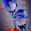 🥰🥰 - @martanavarrete848 - TikTok