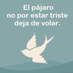 Marta Novoa - Facebook