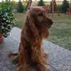 Marta Kosak - @martakosak - TikTok