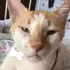 martaowen3 - @martaowen3 - TikTok