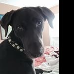 @martaschultz5 - Instagram