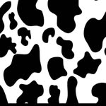 ~коровка🐮 - @martashevchuk_ - Instagram
