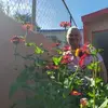 marta - @martasierra430 - TikTok