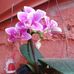 Marta Solis - Facebook