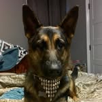 Marta Taylor - @karmas_mom_22 - Instagram