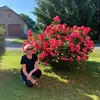 szigetiulrichmarta - @szigetiulrichmarta - TikTok
