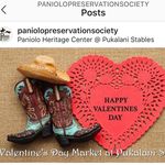 Marta Walker - @waimeasmallbusiness - Instagram