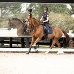 Marta White - @marta_white_para_equestrian - Instagram