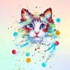 🐈💘Martawhite78🐈💘 - @martawhite18 - TikTok