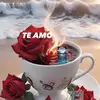 Martha Abrams - @marthaabrams - TikTok