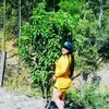 Martha Abrego - @martha.abrego5 - TikTok