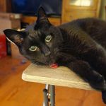 Martha Ackerman - @zevazoe1 - Instagram