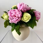 Martha Ackerman - @marthaackerman - Instagram