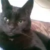 Martha Ackermann - @martha.ackermann - TikTok