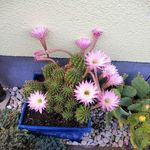 Martha Ackermann - @martha.ackermann.54 - Instagram