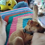 Martha Adkins - Facebook