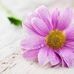 Martha Aiken - Facebook