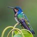 Martha Andres - Facebook