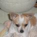 Martha Angle - Facebook