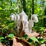 Martha Ansley Campbell - @marthaacampbell - Instagram