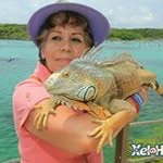 Martha Aragon - @martha.aragon.3726 - Instagram