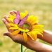 Martha Astorga - Facebook